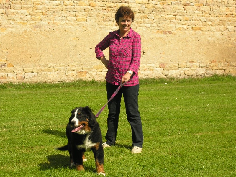Justy-belle du Haras de la Vergne
