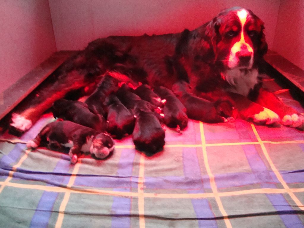 Des bébés aux Chapeliers de Casella!...